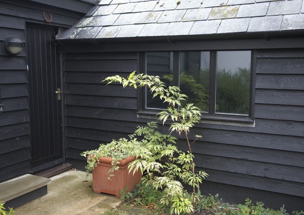 Black External T&G Type Door