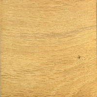 European Oak